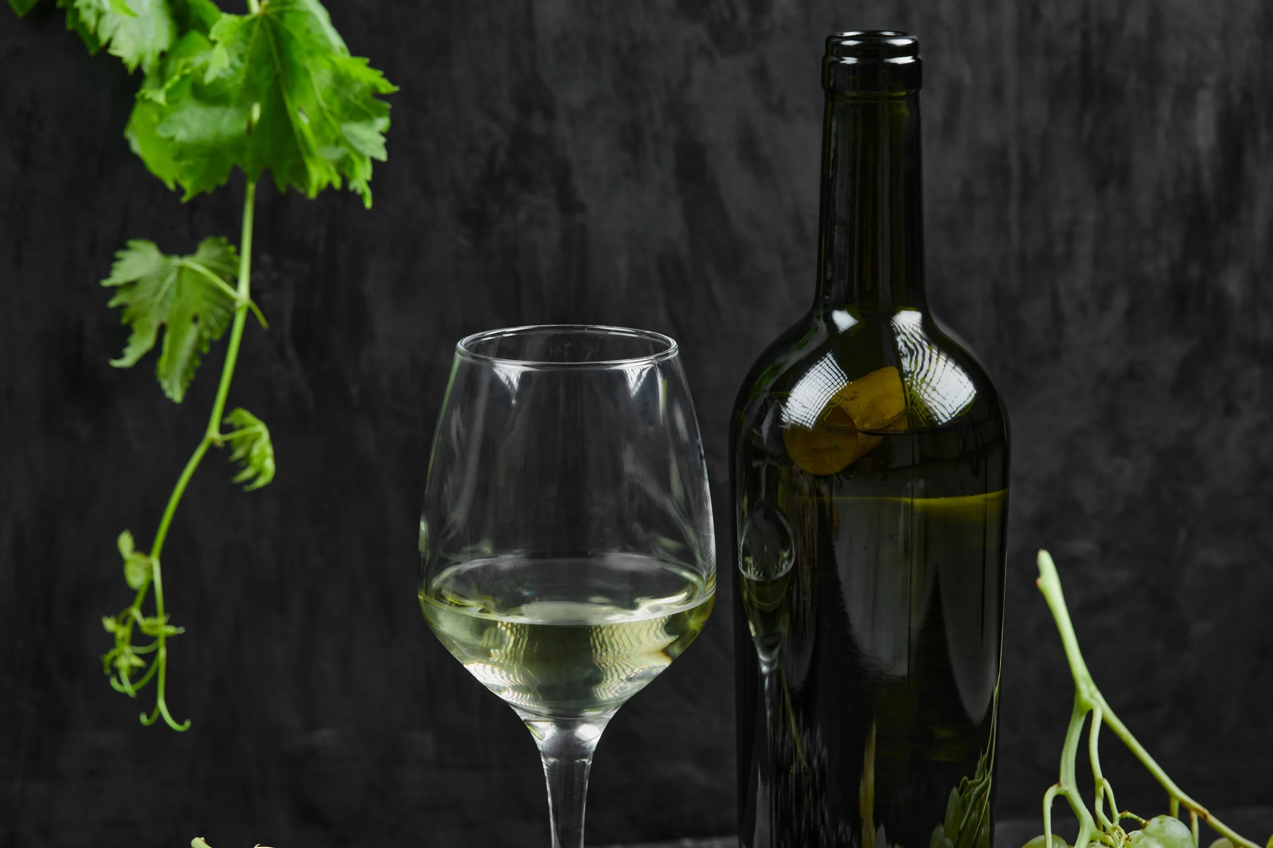 How to match Wine and Food: A Basic Guide.